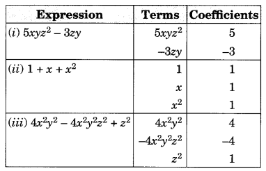 Class 8 Maths Chapter 9 Algebraic Expressions And Identities Edu Spot